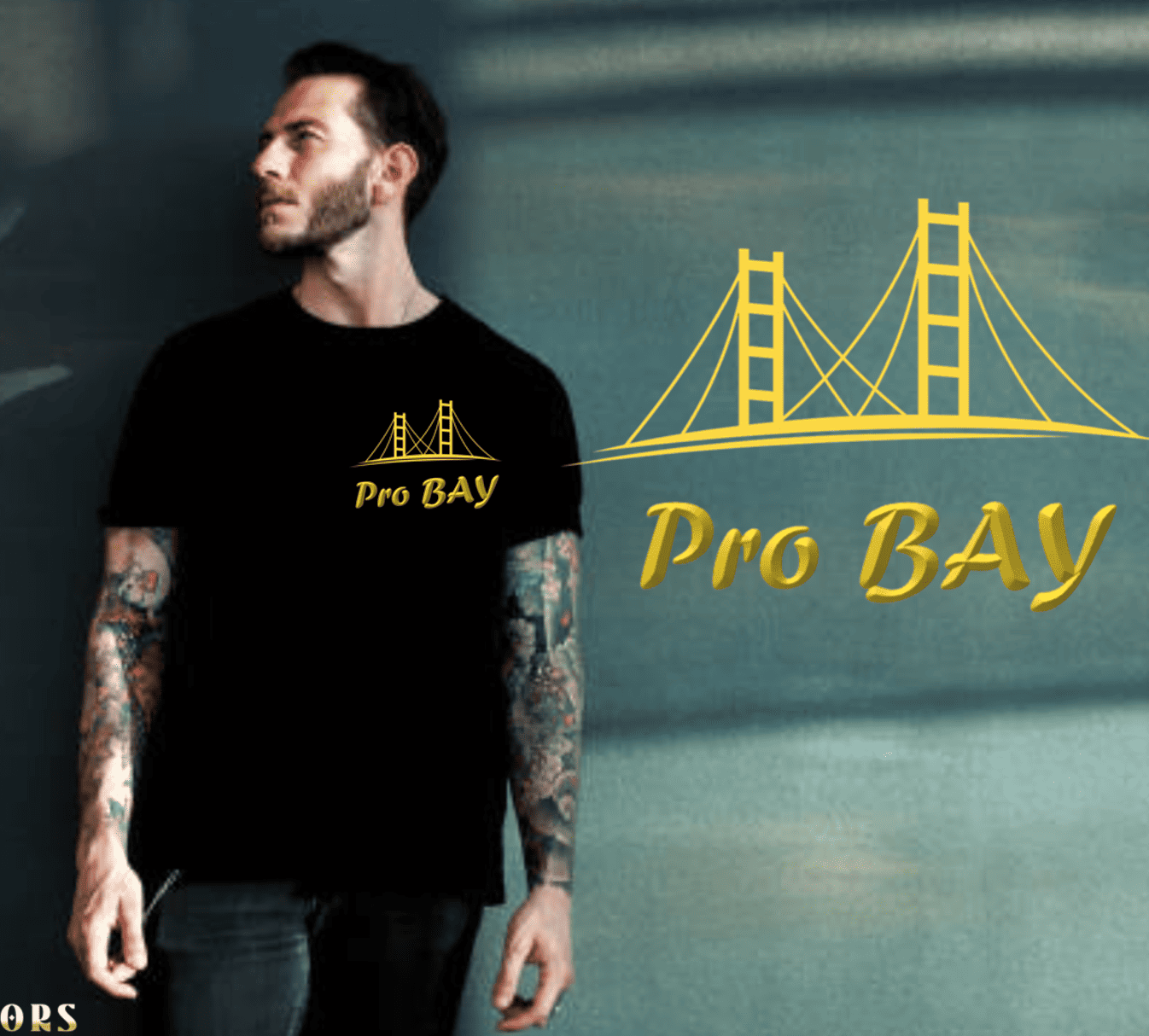 Pro BAY